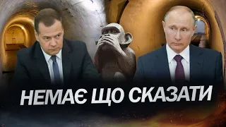 ШЕЙТЕЛЬМАН: обмін зека Бута / Росіяни викрадають ДІТЕЙ / Путін схвильований