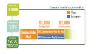 How does a coinsurance work with a health insurance policy?