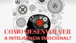 Os Cinco Pilares da Inteligência Emocional: O que é e Como desenvolver Inteligência Emocional