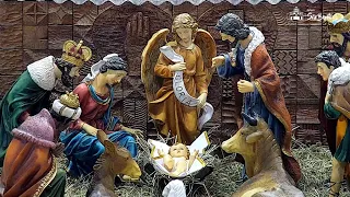 ADORAÇÃO AO SANTÍSSIMO SACRAMENTO| SANTA MISSA QUINTA-FEIRA DO TEMPO DO NATAL ANTES DA EPIFANIA