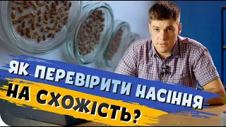 ЯК ВИЗНАЧИТИ СХОЖІСТЬ НАСІННЯ У ДОМАШНІХ УМОВАХ? Дослід на коліні