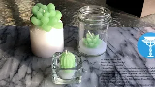 ActivateUTS: A Minute with MedSoc: DIY Succulent Candles