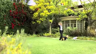 John Legend Performs Dog Wedding In Hilarious Video
