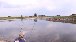 Angeln an der Elbe mit Köderfisch auf Zander und Aal