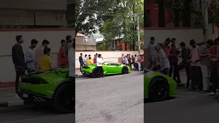 Lamborghini fans