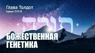 01. Недельная глава "Толдот" Божественная генетика. Берешит (Бытие) 25:19-28