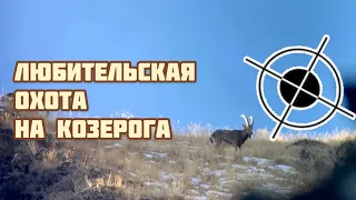 Любительская Охота на козерога в Алматинской области!