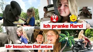 PRANK AN EINFACH MARCI + ELEFANTEN VLOG / EinfachMarciundRiekeRiaufAbenteuerreise#4