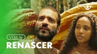 Renascer é anunciada como a próxima novela das nove! | TVGlobo