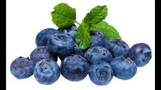 Why i love blueberries|Benefits of Blueberries for the Brain||Secret of Healthy Body