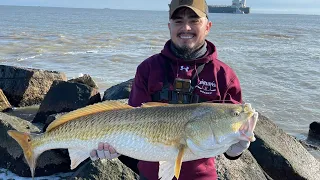 Pesca de red drump Gigantes en galveston Texas. #redfish #reddrum #pesca #bullred #bullredfish