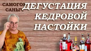 Настойка АЛТАЙСКАЯ КЕДРОВАЯ из пакетика - дегустация / Самогон Саныч