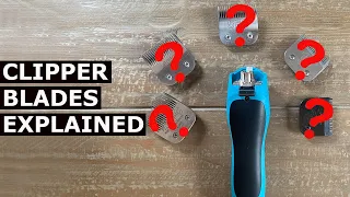 Picking The Right Clipper Blades For Dogs