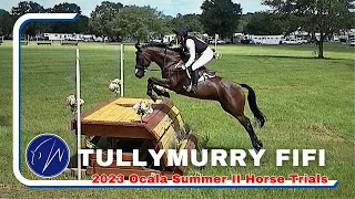 Tullymurry Fifi (Open Preliminary | 2023 Ocala Summer II Horse Trials)