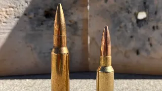 6.5 Grendel vs 308 Win: Not So Close After All