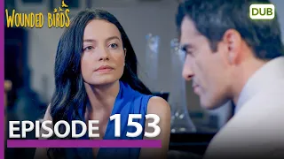 Wounded Birds Episode 153 - Urdu Dubbed | Turkish Drama