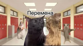 пов:мой будний день