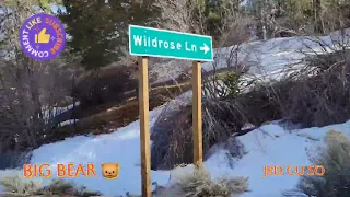 BIG BEAR. epi. 10🐻 🐻‍❄ 🐻🇺🇸🐻