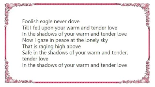 Chris Rea - Your Warm and Tender Love Lyrics