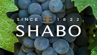 SHABO – легенда серед вин