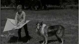 Lassie - Episode #333 - "High Tension" - Season 10, Ep. 10 - 12/08/1963