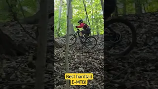 Best Hardtail E-MTB for climbing anywhere and everyday use ! #emtb #electric #mtb #hardtail