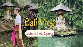 Бали Влог | Святой источник Себату и водный храм. Мой день рождения