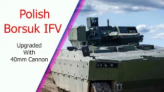 Polish Domestic Borsuk IFV Upgraded With 40mm Cannon