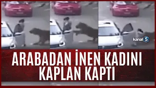 Eşiyle Tartışmak İçin Arabadan İnen Kadını Kaplan Kaptı