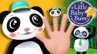 Panda Family | Nursery Rhymes for Babies by LittleBabyBum - ABCs and 123s