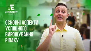 Програма «РАПСОДІЯ УСПІХУ»: Основні Аспекти Успішного Вирощування Ріпаку Компанії КВС Україна