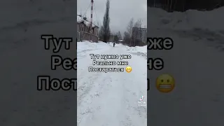 Погоня #shorts #short #shortvideo #subscribe #status #кот #shorts #tiktok #tiktokvideo #жиза #лунтик