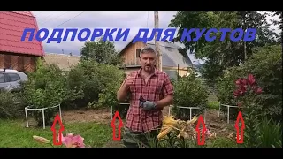 ПОДПОРКИ ПОД КУСТЫ на даче.