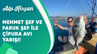 Mehmet Şef ve Faruk Şef ile Çipura Avı Yarışı! | Alp Kırşan | Alpventure