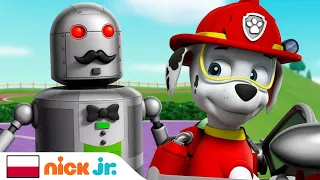 Psi Patrol | Szczeniaki i robot | Nick Jr.