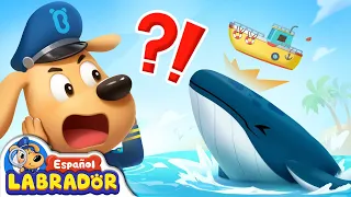 🔍Sheriff Labrador - Ballena Varada 🐳 | Videos para Niños | BabyBus en Español