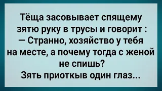 Теща Залезла Спящему Зятю в Трусы! Сборник Свежих Анекдотов! Юмор!