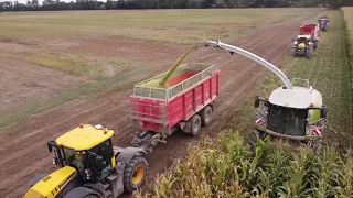 Siláže 2021 🌽 ZD Unčovice 🌽 7 odvozů | Silage | Czech republic