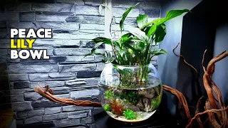 Aquascape Tutorial: Peace Lily Bowl Aquarium (How To: Step By Step Planted Tank Guide)