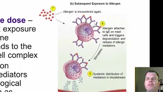 Chapter 16   Immune Disorders (CC)