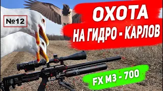 Охота на  Ворону и Гидро- Карлов №12  Hunting 2023. Кроухантинг. Jack Hunter.