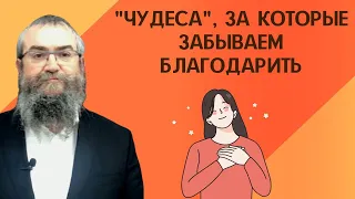 ✨🙏 Шабат Лех Леха 5783. "Чудеса", за которые забываем благодарить | Рав Пинхас Вышедски