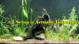 Top 5 THINGS I LEARNED from my BETTA SORORITY