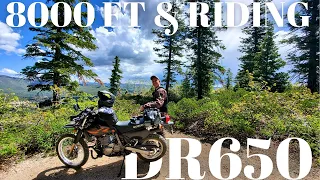 8000 Feet And Riding - Suzuki DR650