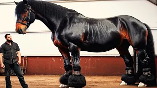 20 Horses Born Once In A Thousand Years