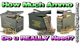 How Much Ammo Do u REALLY Need