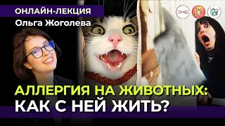 «Аллергия на животных: как с ней жить?». Ольга Жоголева #Онлайн_лекция