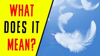 What Does It Mean When You See White Feathers?