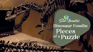 Dinosaur Fossils: Pieces of a Puzzle | Paleontology | The Good and the Beautiful