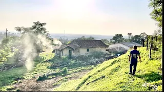 Este sítio ainda conserva esta vida raiz # sítio nas montanhas # Santa Maria do Rio do peixe 🐠 pr…